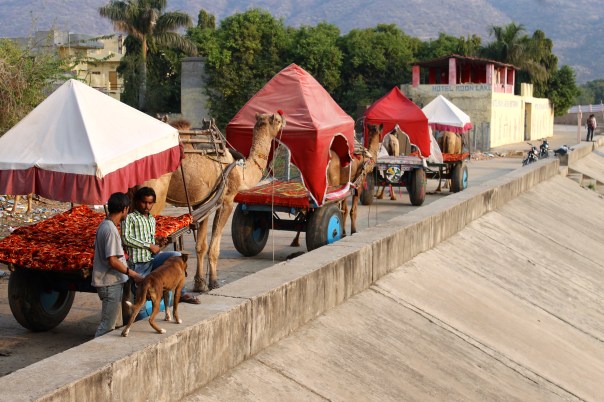 I think I'd rather this form of transport...